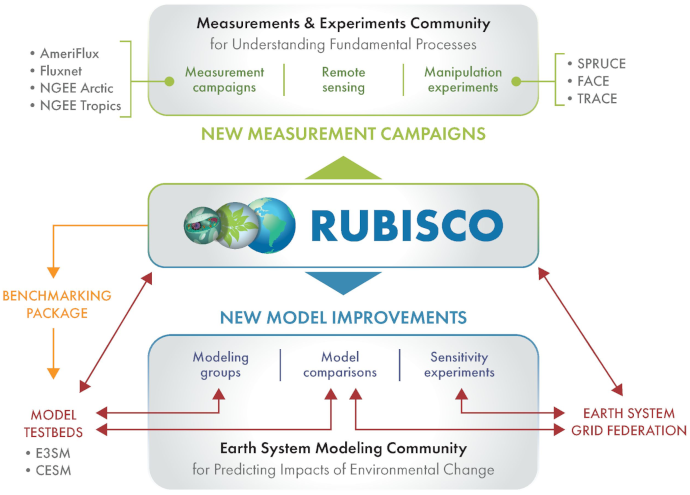 RUBISCO SFA Diagram